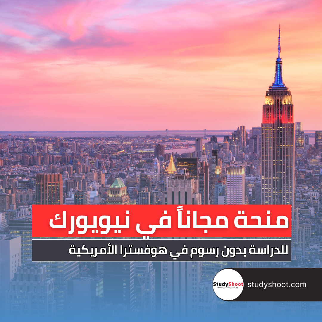 منحة جامعة هوفسترا