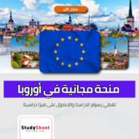 منحة حكومة أستونيا