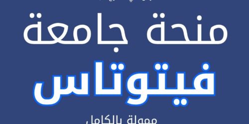 منحة جامعة فيتوتاس