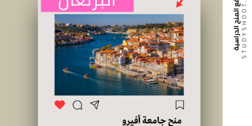 منح جامعة أفيرو