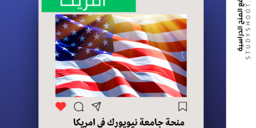 منحة ادارة الاعمال بجامعة نيويورك