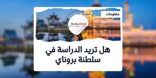 الدراسة في بروناي