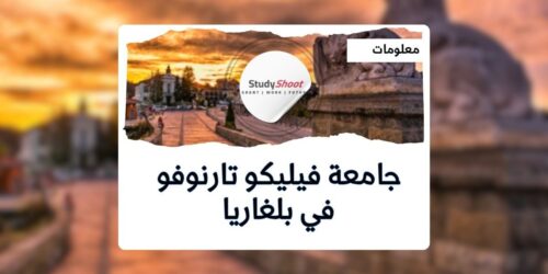 جامعة فيليكو تارنوفو