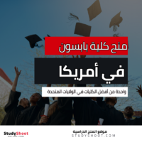 منح كلية بابسون