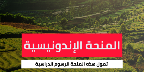 منحة الحكومة الإندونيسية