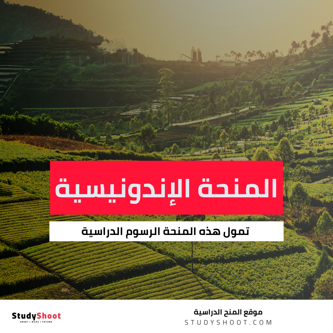 منحة الحكومة الإندونيسية