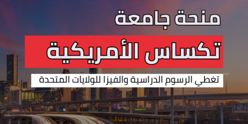منحة جامعة تكساس