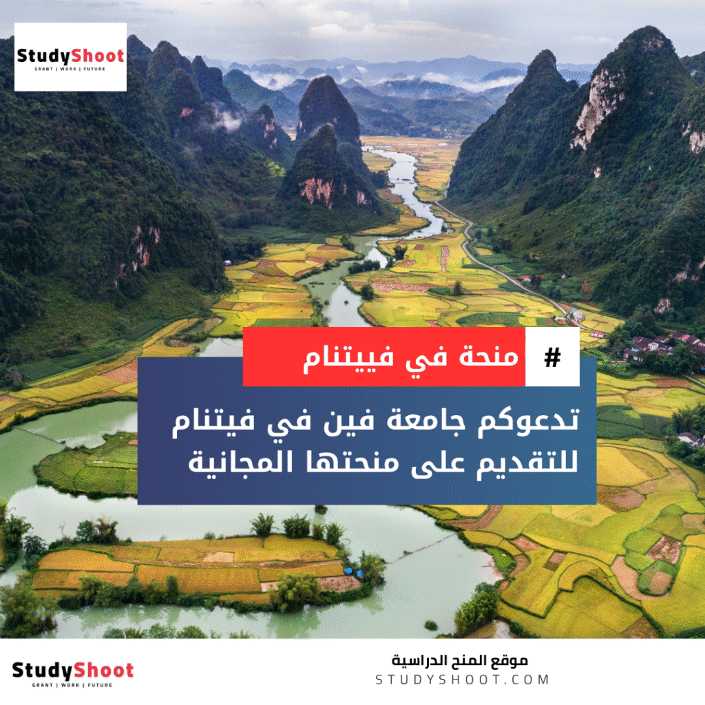 منحة جامعة فين