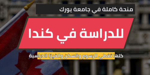 منحة جامعة يورك