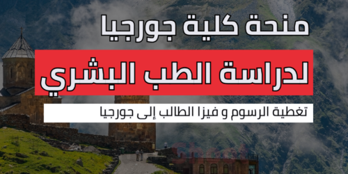 منحة كلية جورجيا للطب