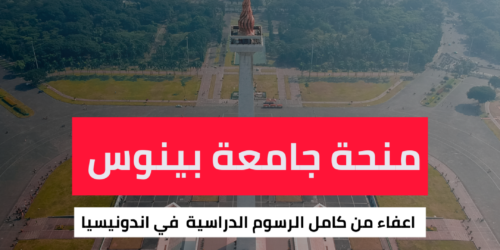 منحة جامعة بينوس