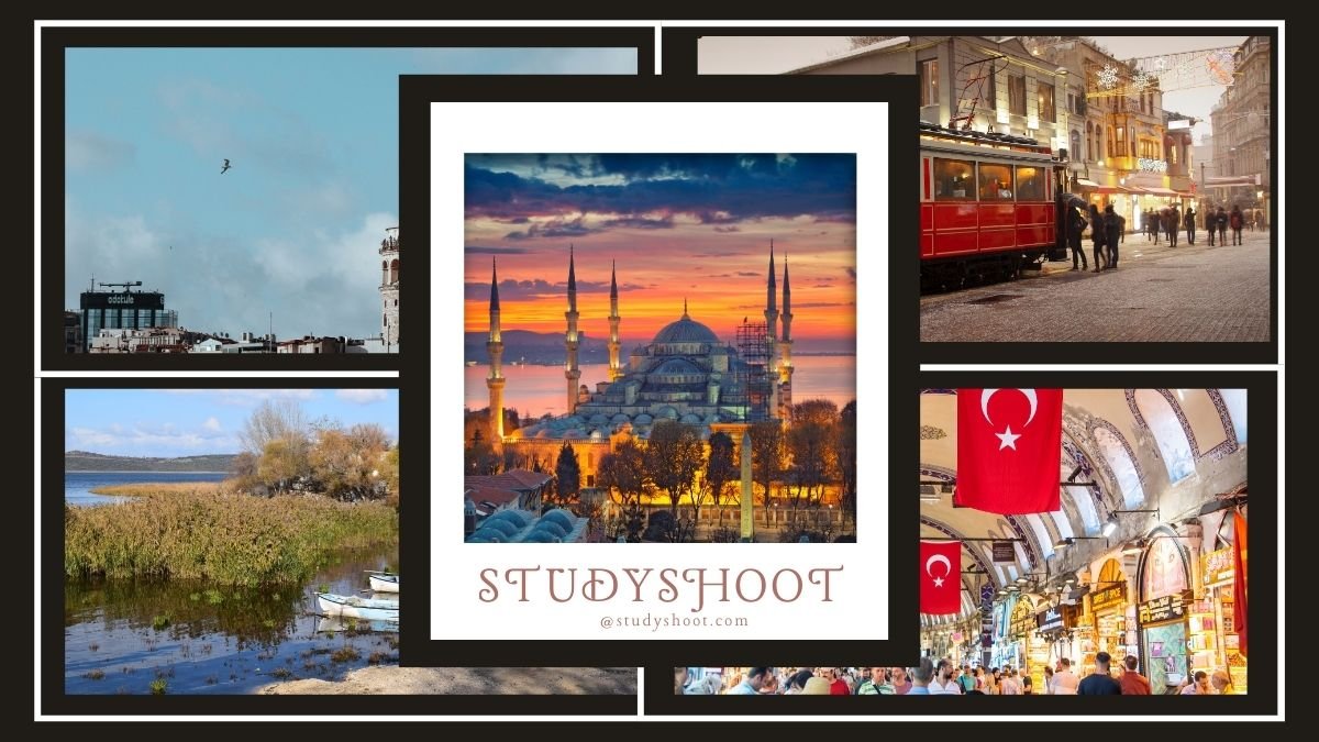 منحة جامعة فان يوزونجو يل STUDYSHOOT