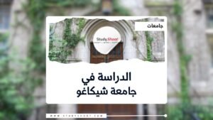 جامعة شيكاغو