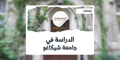 جامعة شيكاغو