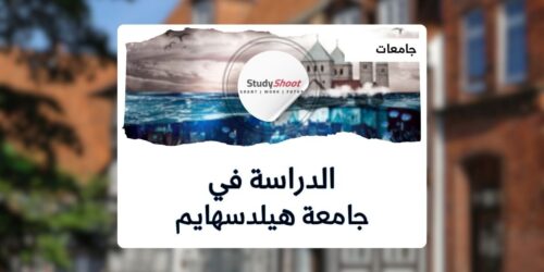 جامعة هيلدسهايم