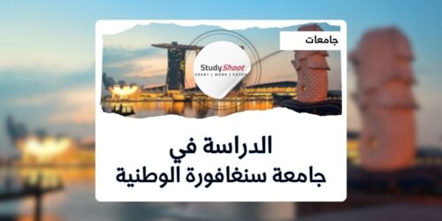جامعة سنغافورة الوطنية