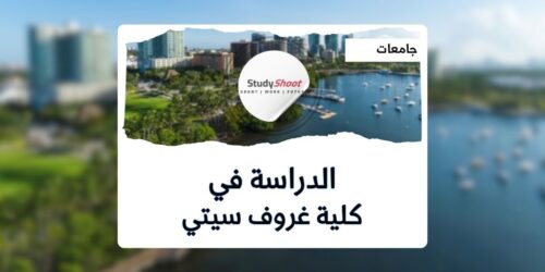  كلية غروف سيتي