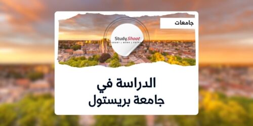 جامعة بريستول