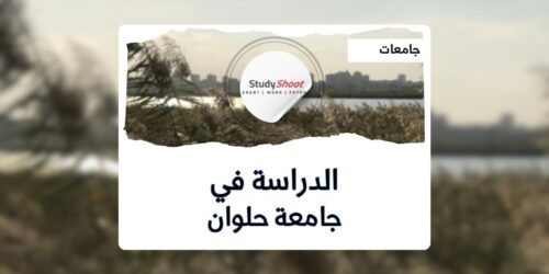 جامعة حلوان