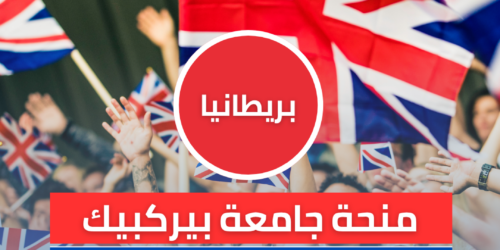 منحة جامعة بيركبيك