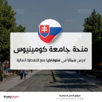 منحة جامعة كومينيوس