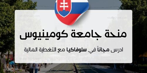 منحة جامعة كومينيوس