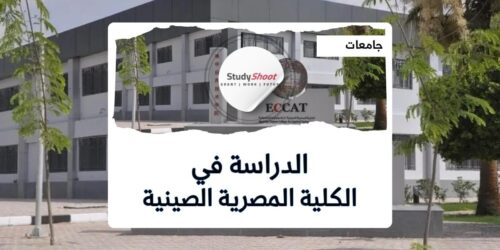 الكلية المصرية الصينية للتكنولوجيا