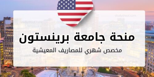منحة جامعة برينستون