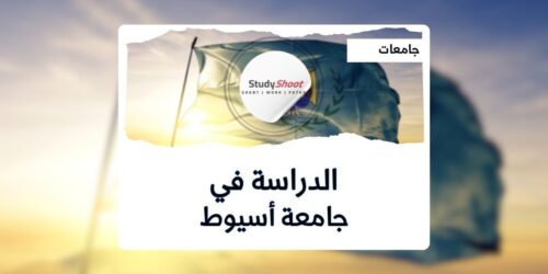 جامعة أسيوط