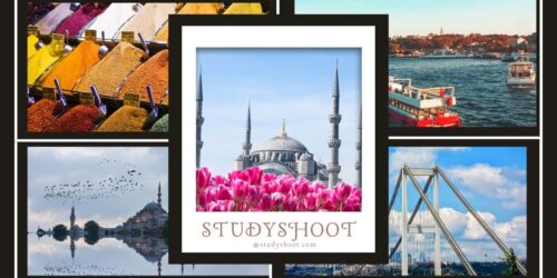 تخصصات العلمي في تركيا