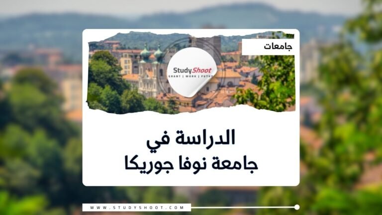 جامعة نوفا جوريكا