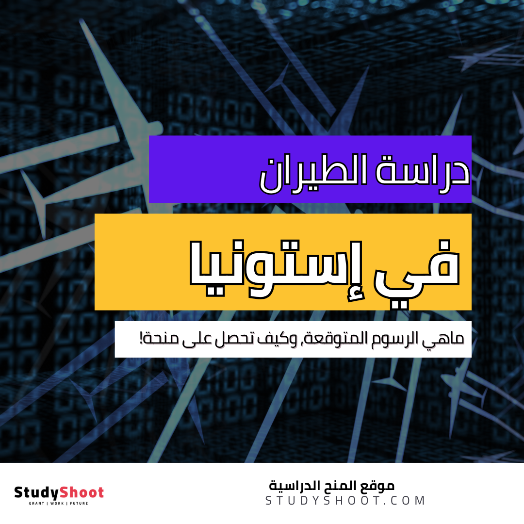 دراسة الطيران في إستونيا