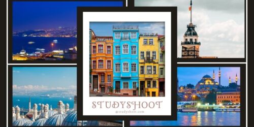 تخصصات الأدبي في تركيا