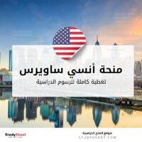 منحة أنسي ساويرس