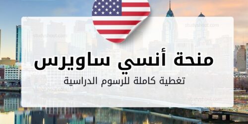 منحة أنسي ساويرس