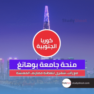 منحة جامعة بوهانغ