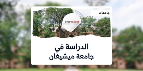 جامعة ميشيغان