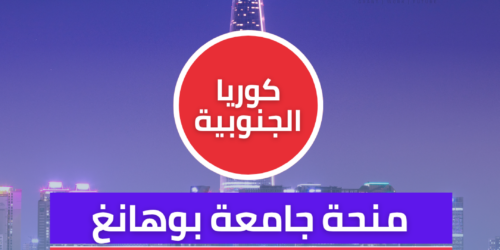 منحة جامعة بوهانغ