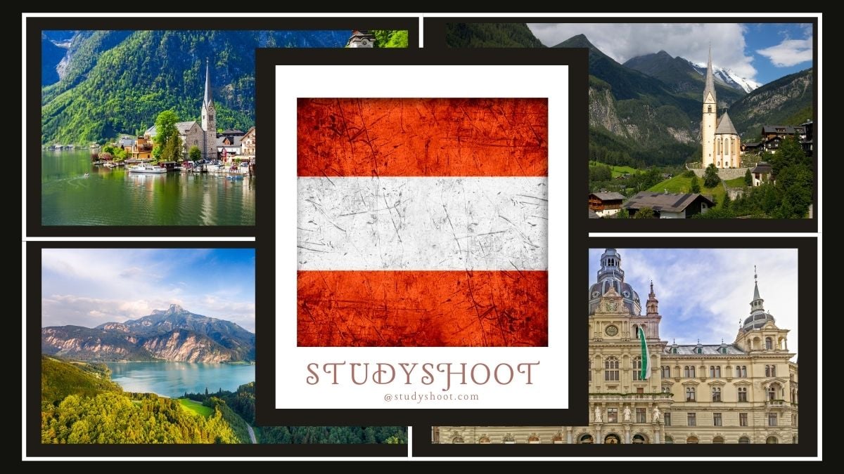 منحة جامعة الموارد الطبيعية في النمسا STUDYSHOOT