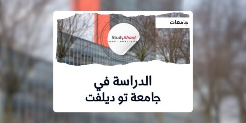 جامعة تو ديلفت