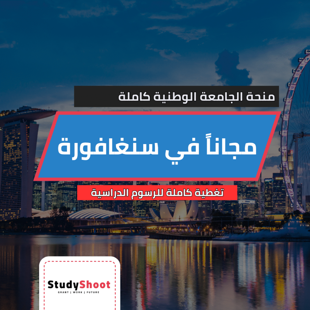 منحة الجامعة الوطنية في سنغافورة
