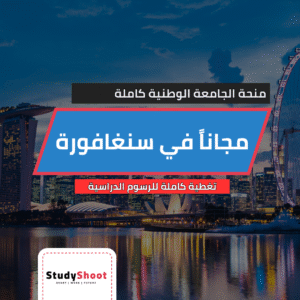 منحة الجامعة الوطنية في سنغافورة