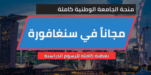 منحة الجامعة الوطنية السنغافورية