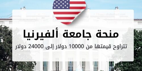 منحة جامعة ألفيرنيا