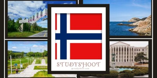 جامعة جنوب شرق النرويج