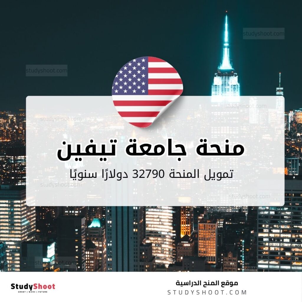 منحة جامعة تيفين