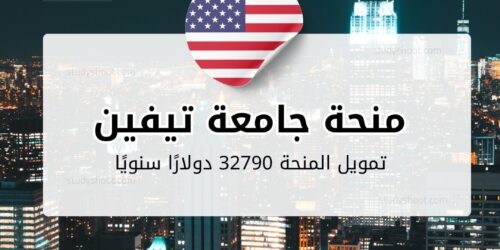 منحة جامعة تيفين