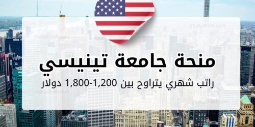 منحة جامعة تينيسي