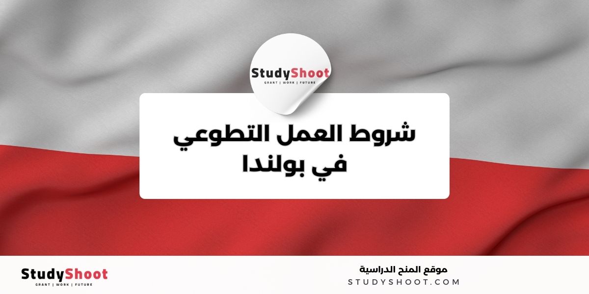 image thumb studyshoot website 66