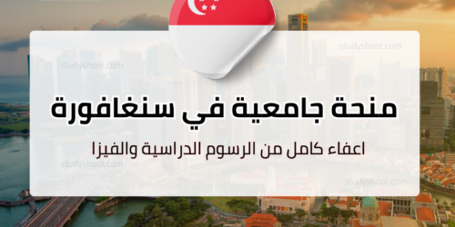 منحة جامعة سنغافورة للإدارة